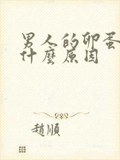 男人的卵蛋胀疼什么原因