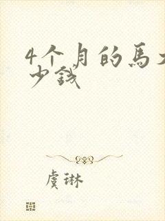 4个月的马犬多少钱