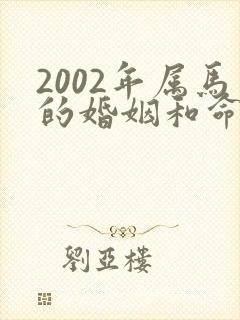 2002年属马的婚姻和命运
