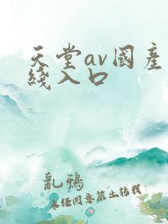 天堂av国产在线入口