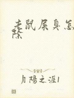 老鼠屎臭怎么去除