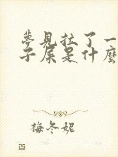 梦见拉了一裤兜子屎是什么预兆