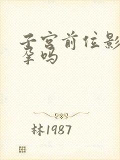 子宫前位影响怀孕吗