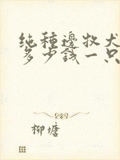 纯种边牧犬小狗多少钱一只