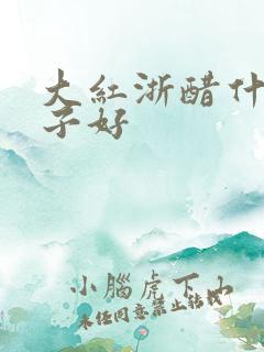 大红浙醋什么牌子好