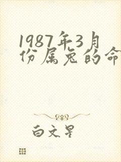 1987年3月份属兔的命运如何
