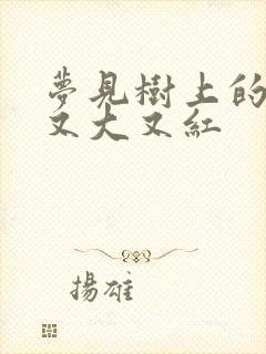 梦见树上的桃子又大又红