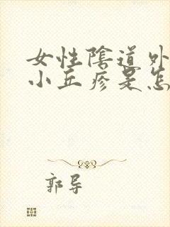 女性阴道外面起小丘疹是怎么回事