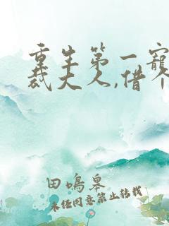 重生第一宠:总裁大人,借个婚 卿点江山