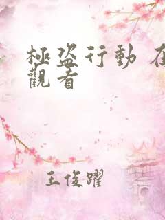 极盗行动 在线观看