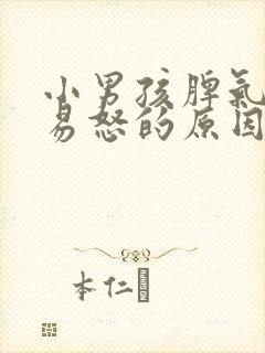 小男孩脾气暴躁易怒的原因