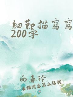 细节描写写人物200字