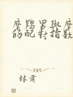 摩羯男与摩羯女的配对指数