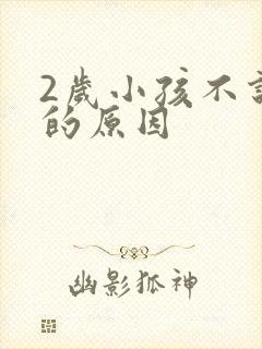 2岁小孩不说话的原因