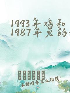 1993年鸡和1987年兔的合适吗