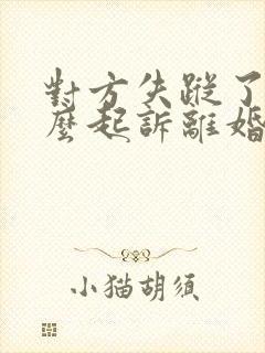 对方失踪了 怎么起诉离婚