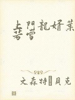 上门龙婿叶凡唐若雪