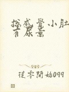 总感觉小肚子涨有尿意