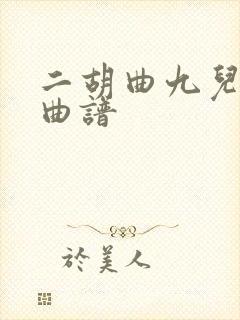 二胡曲九儿动态曲谱