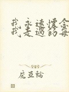 我永远怀念你陪我走过的每一天是什么歌