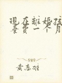 现在离婚孩子抚养费一个月多少钱