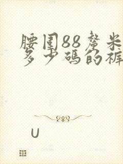 腰围88厘米是多少码的裤子