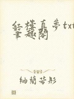 红楼真梦txt笔趣阁