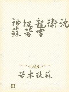 神级龙卫沈浪与苏若雪