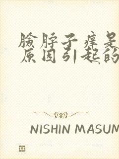 脸脖子痒是什么原因引起的