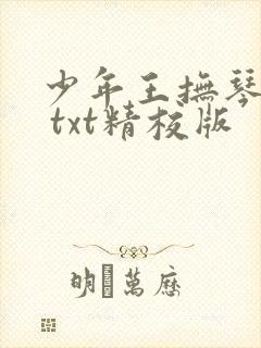 少年王抚琴的人 txt精校版