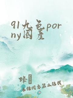 91九色porny国产