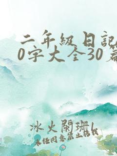 二年级日记100字大全30篇