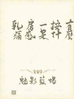 乳房一按有点疼痛感是什么原因