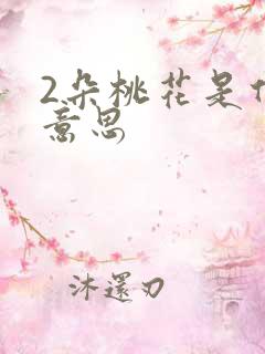 2朵桃花是什么意思