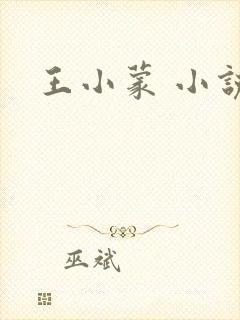 王小蒙 小说