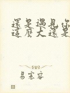 还是遇见你世界这么大还是遇见你