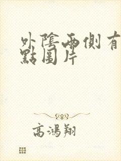 外阴两侧有小黑点图片