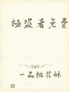 极盗者免费播放