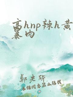 高hnp辣h黄暴肉