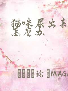 猫咪尿出来有血怎么办