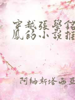 穿越张学铭于至凤的小说推荐