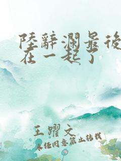 陆辞澜最后和谁在一起了