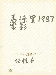 马德里1987电影