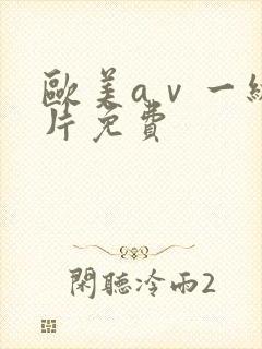 欧美aⅴ一级 片免费