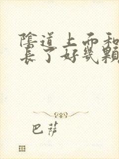 阴道上面和两边长了好几颗硬疙瘩