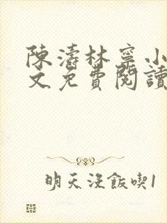 陈涛林宁小说全文免费阅读最新章节