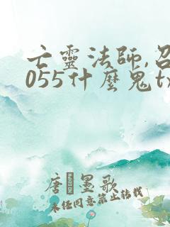 亡灵法师,召唤055什么鬼txt下载