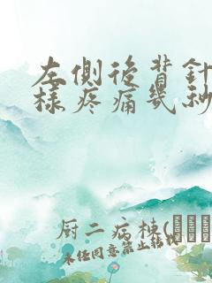 左侧后背针扎一样疼痛几秒钟