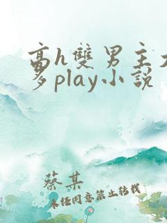 高h双男主大奶多play小说