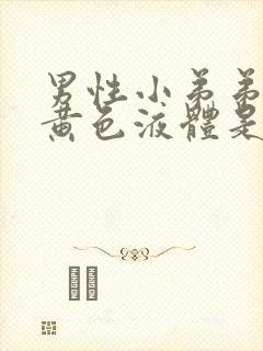 男性小弟弟流出黄色液体是什么病